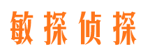 正宁市侦探公司